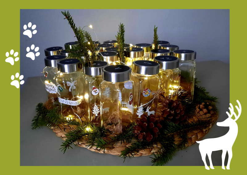 Adventskalender für Hunde