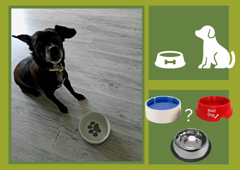 Hund und Hundenäpfe