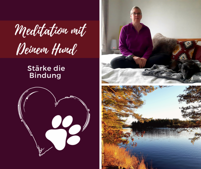 Meditation mit Hund